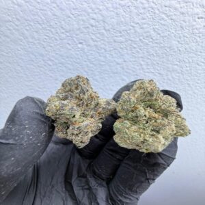 Buy Gorilla Glue Marijuana Strain