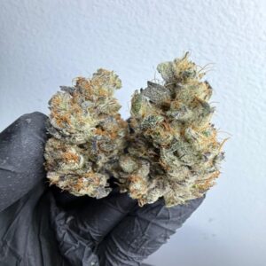 Buy Durban Poison Marijuana Strain
